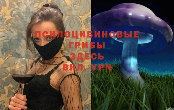 ALPHA PVP Верея