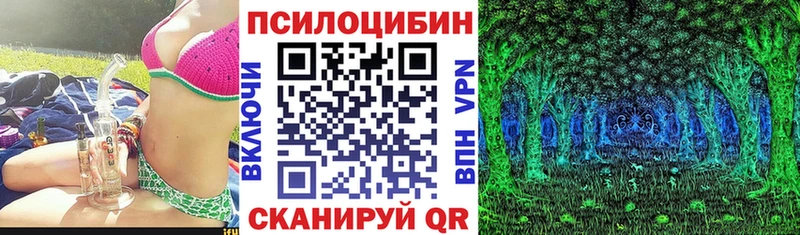 Псилоцибиновые грибы GOLDEN TEACHER  Кашира 
