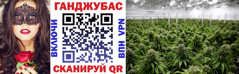 наркота  Кашира  Конопля тримм 
